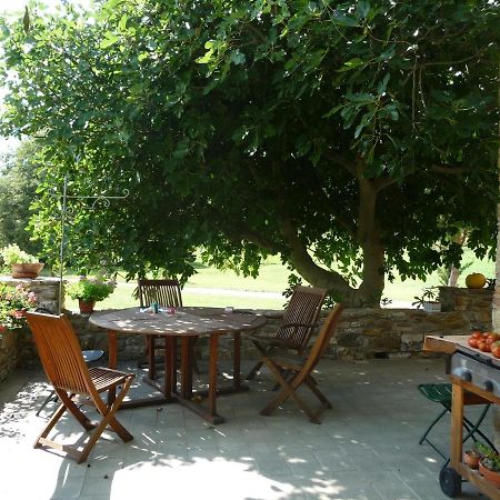 Podere Pian Di Cava Castelnuovo di Val di Cecina Extérieur photo